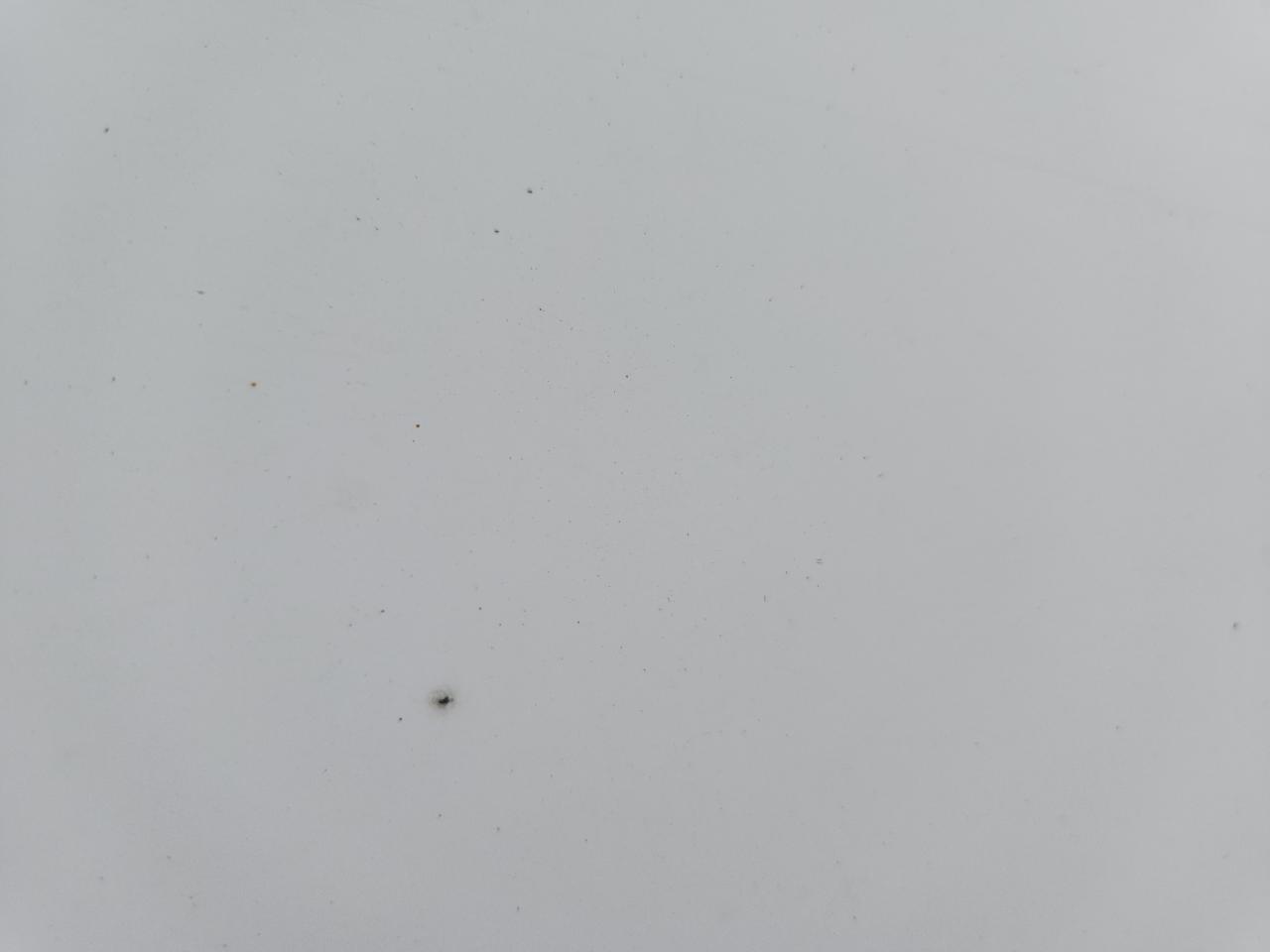 Lot #3309431963 2022 UTILITY VS2DX