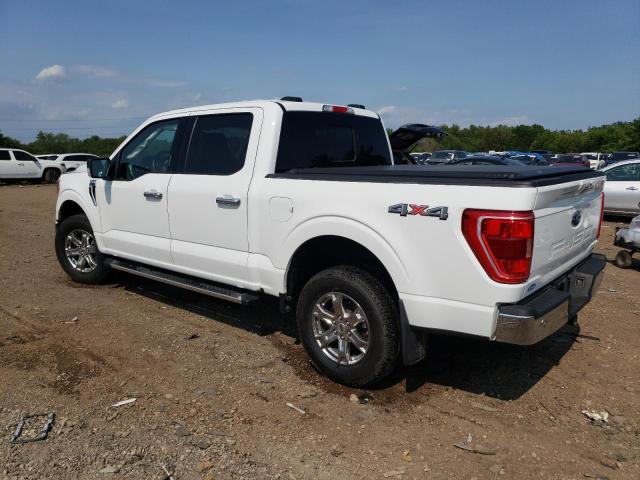 2023 FORD F150 SUPER - 1FTFW1E85PFC03888