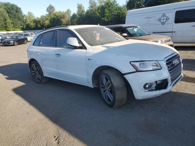 2015 AUDI SQ5 PREMIU WA1CGAFP9FA016357