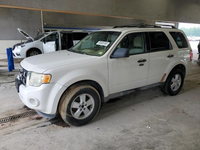 Vin: 1fmcu0d73akb51344, lot: 64045165, ford escape xlt 2010 img_1