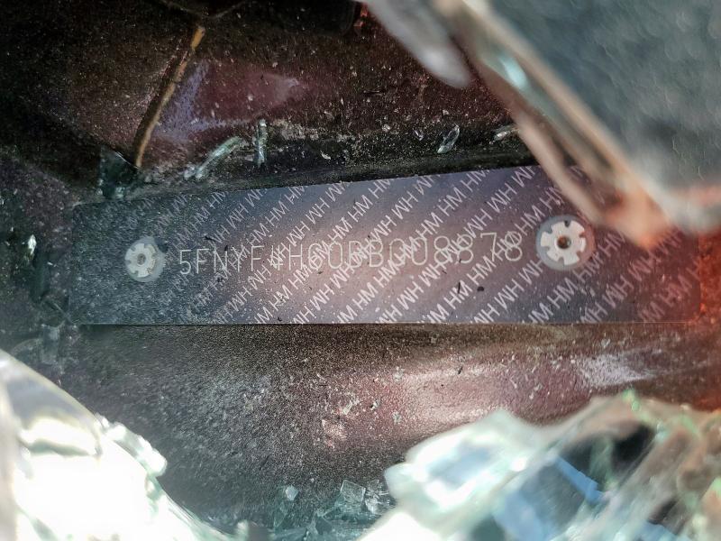 2011 HONDA PILOT EXL - 5FNYF4H60BB008878