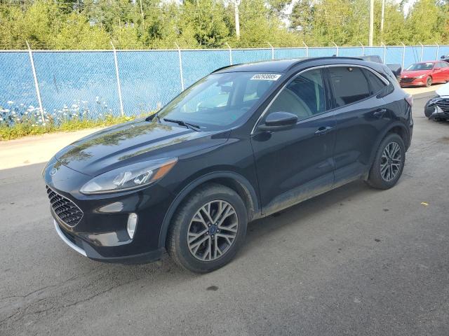 Global Auto Auctions: 2020 FORD ESCAPE SEL