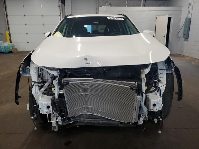 2024 TOYOTA RAV4 LE 2T3MWRFV5RW224543