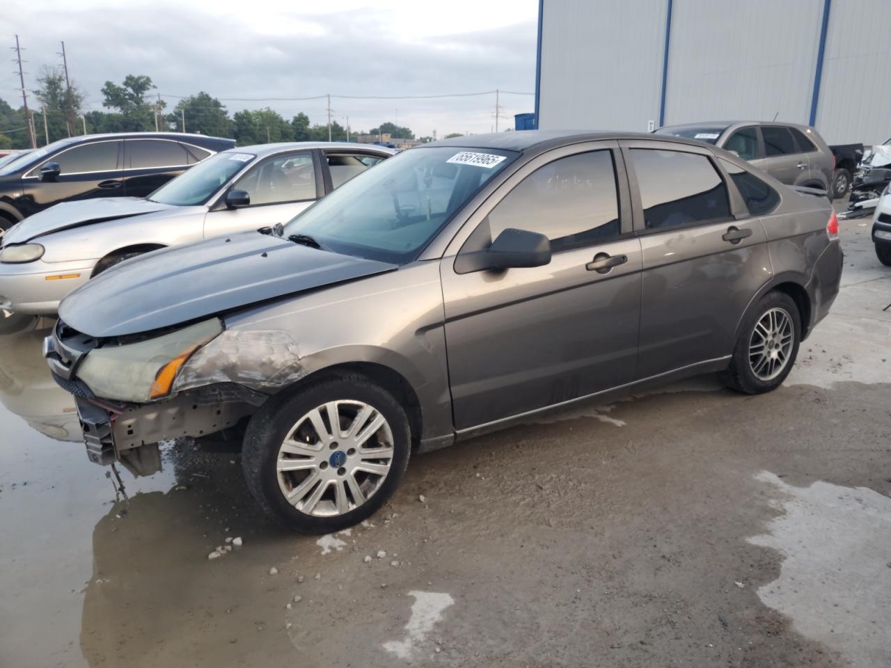 FORD FOCUS SE