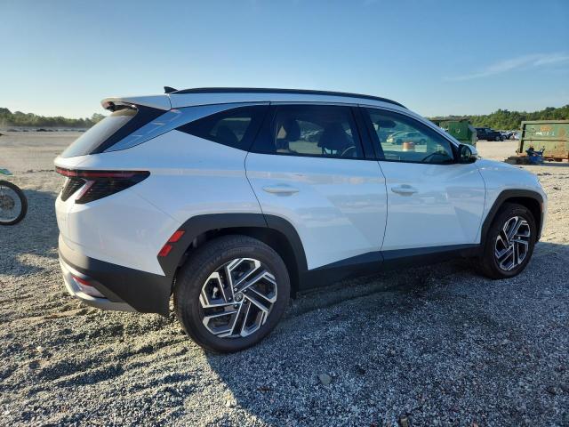 2025 HYUNDAI TUCSON LIMITED KM8JEDD16SU329955