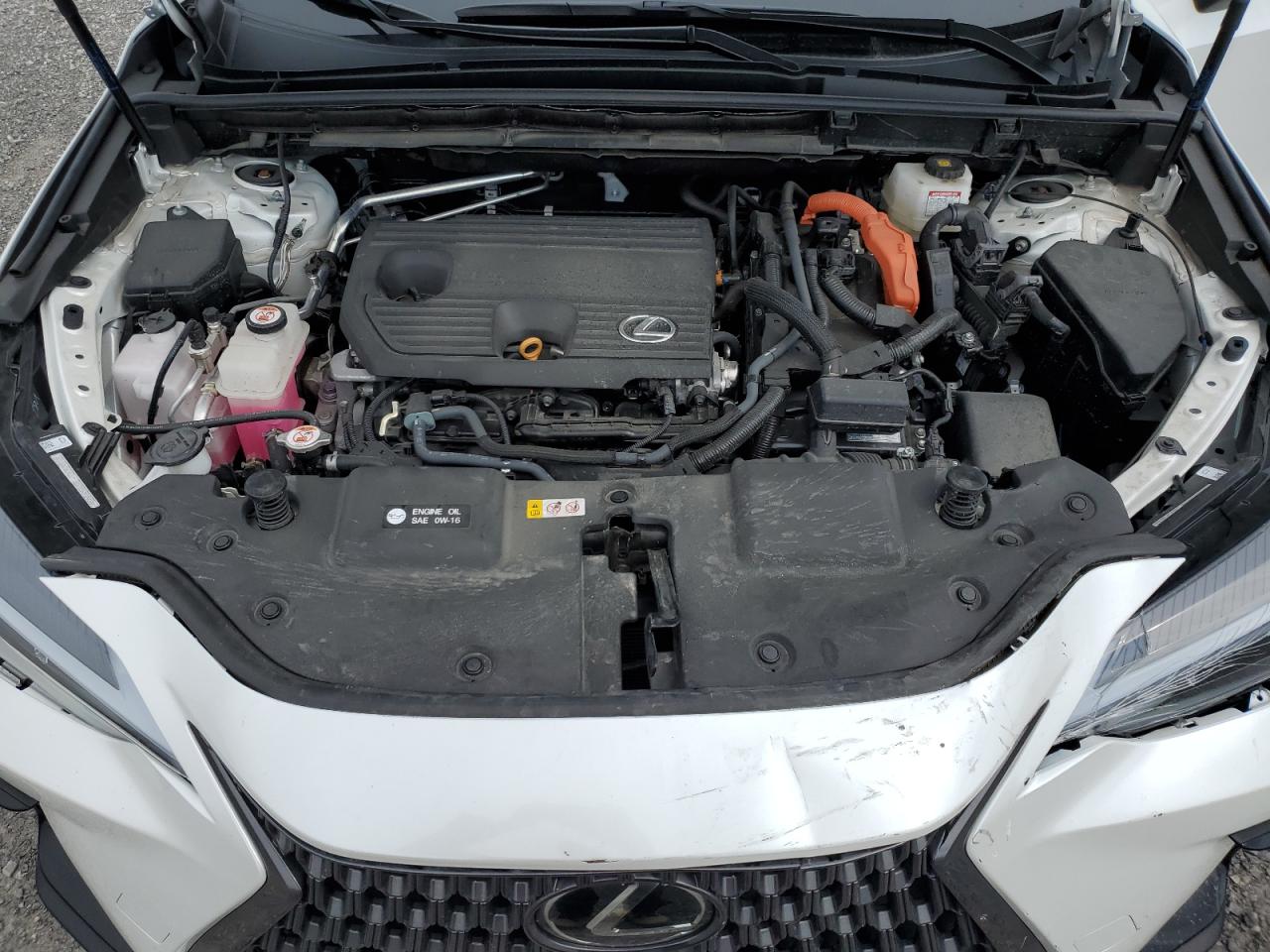 LEXUS NX 350H BASE