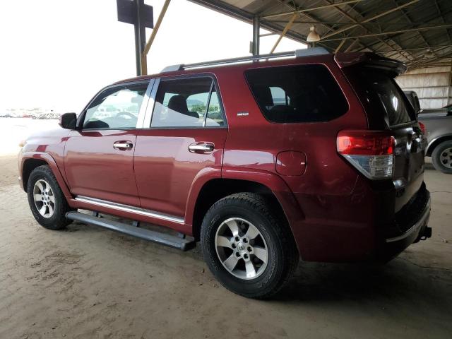 TOYOTA 4RUNNER SR 2011 red  Gasoline JTEBU5JR5B5056671 photo #3