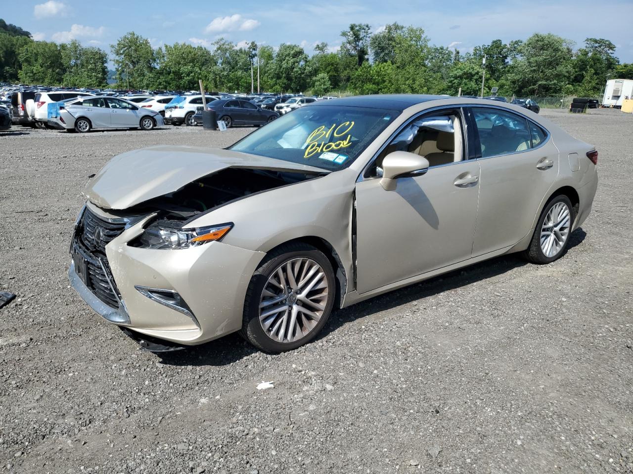 LEXUS ES 350