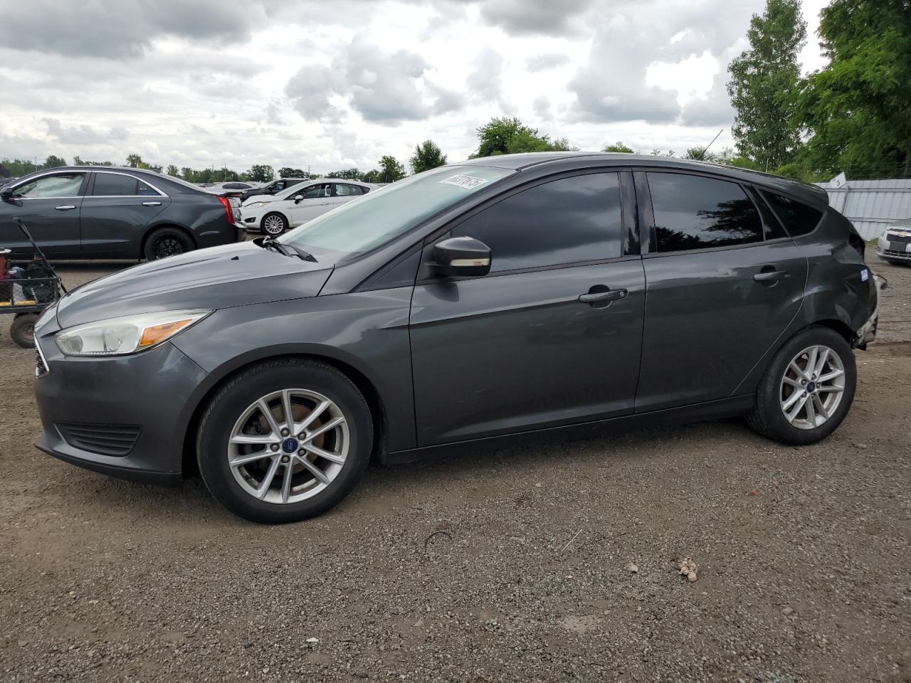 FORD FOCUS SE
