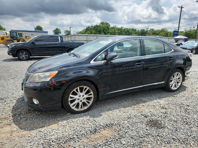 LEXUS HS 250H