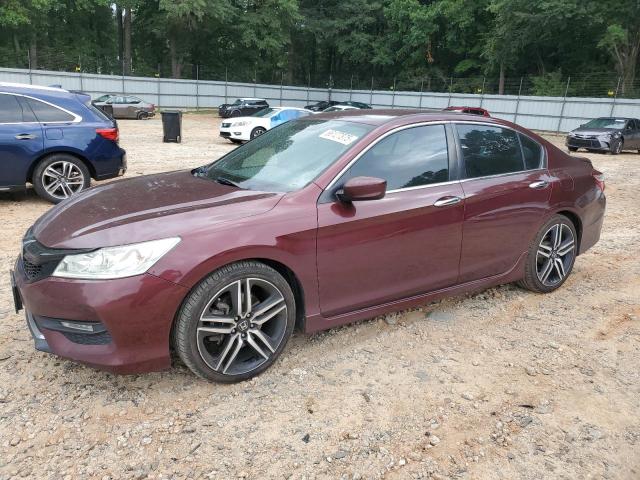HONDA ACCORD SPO