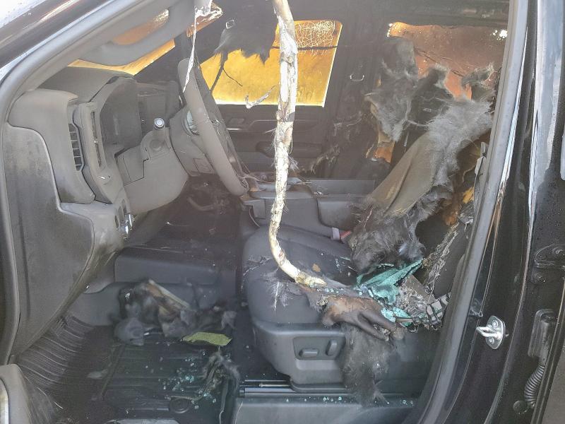 2025 GMC SIERRA C15 3GTPHCED4SG213519