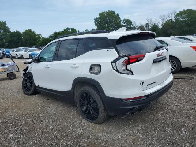 2020 GMC TERRAIN SL 3GKALVEX2LL273032