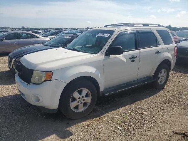 FORD ESCAPE XLT