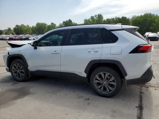 2024 TOYOTA RAV4 XLE P - 2T3B6RFV2RW062135