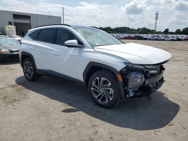 2025 HYUNDAI TUCSON LIM 5NMJECDE9SH467398