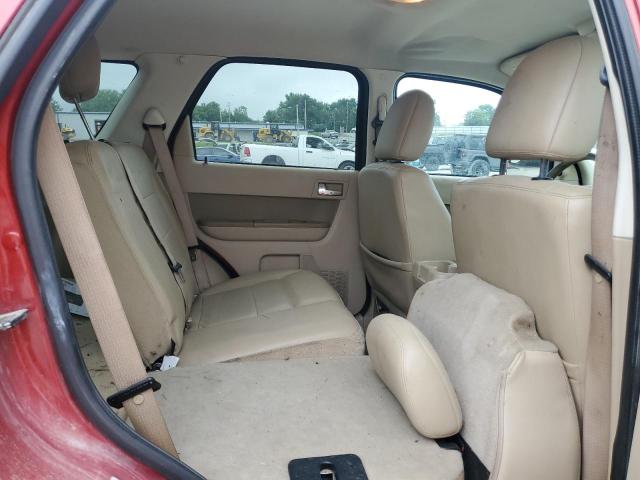 2010 FORD ESCAPE LIMITED - 1FMCU0EG4AKB77448