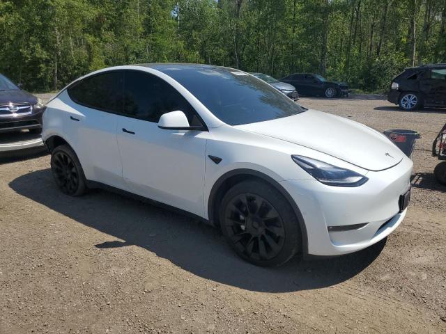 2022 TESLA MODEL Y 7SAYGDEE2NF564402