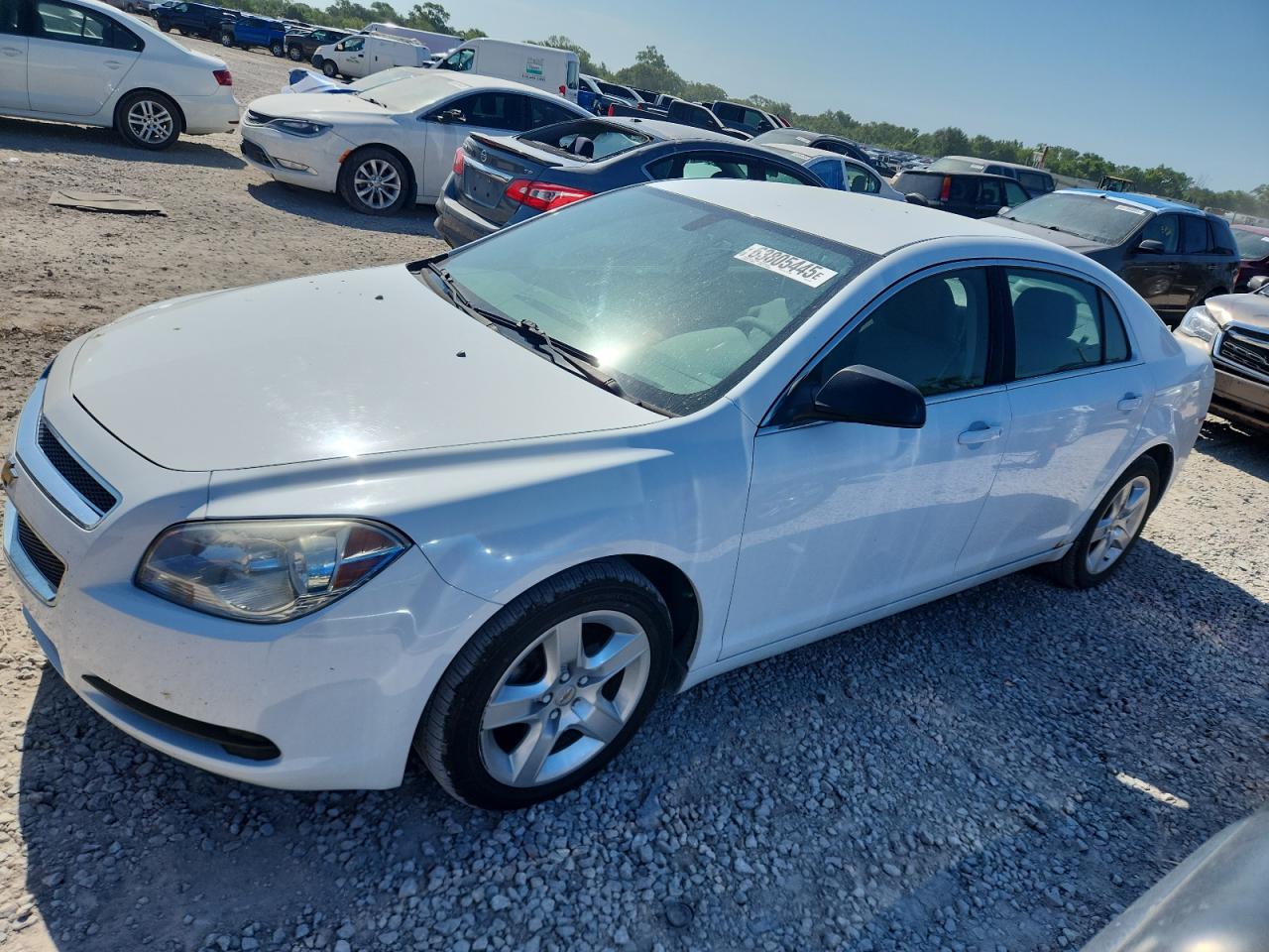Lot #3215433757 2011 CHEVROLET MALIBU LS