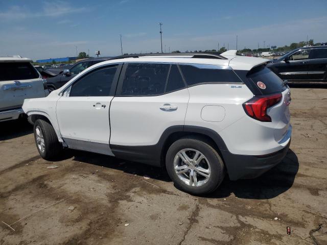 2021 GMC TERRAIN SL 3GKALMEV4ML324492