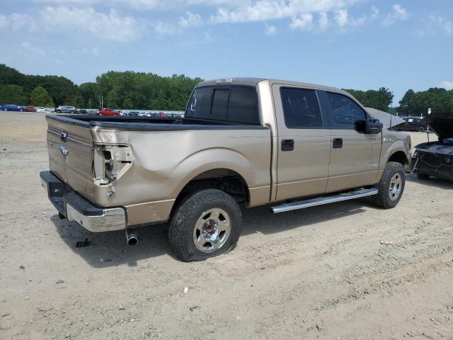 Vin: 1ftfw1et2dke96415, lot: 63535165, ford f-150 supercrew 20133
