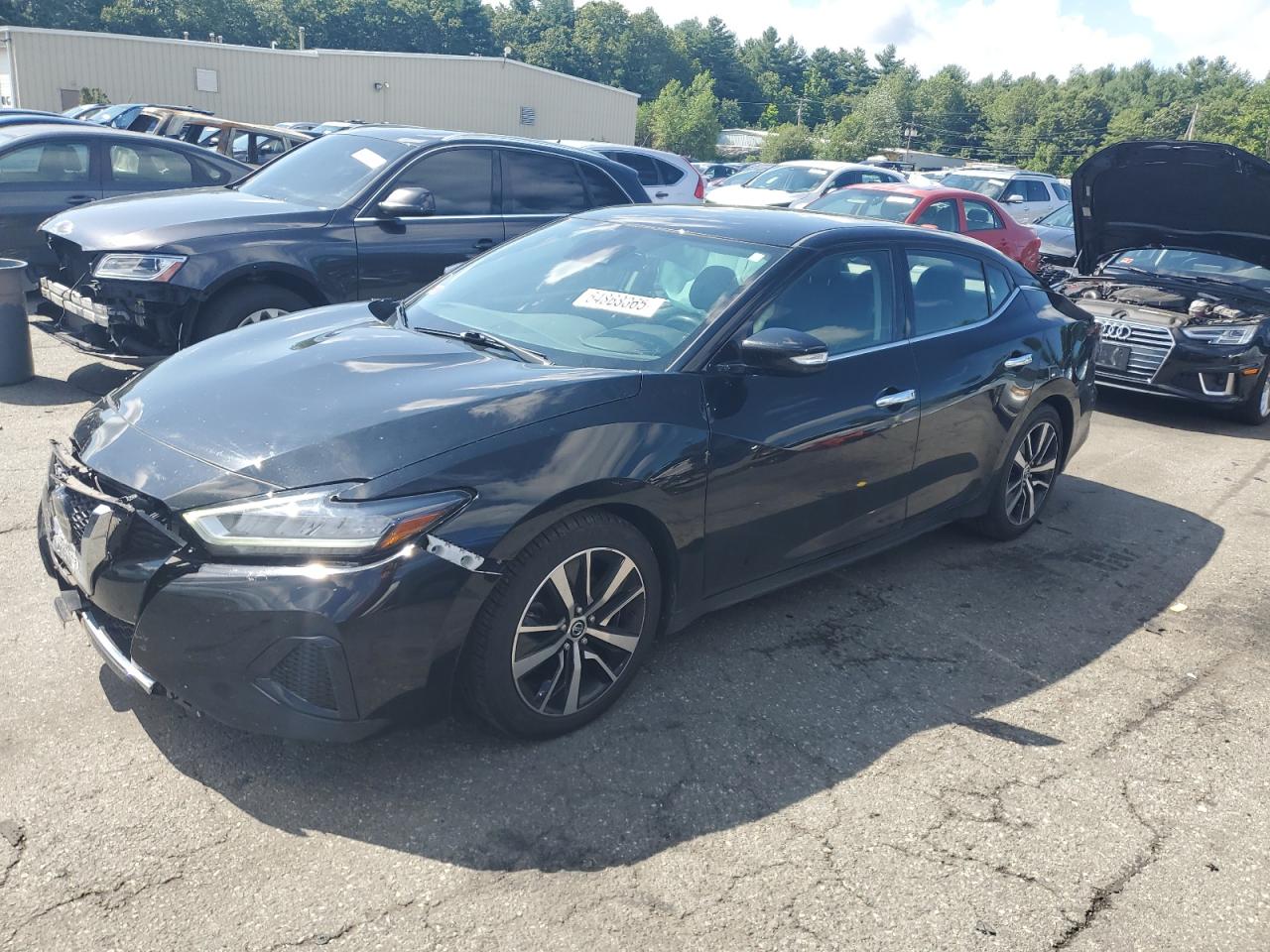 NISSAN MAXIMA SV