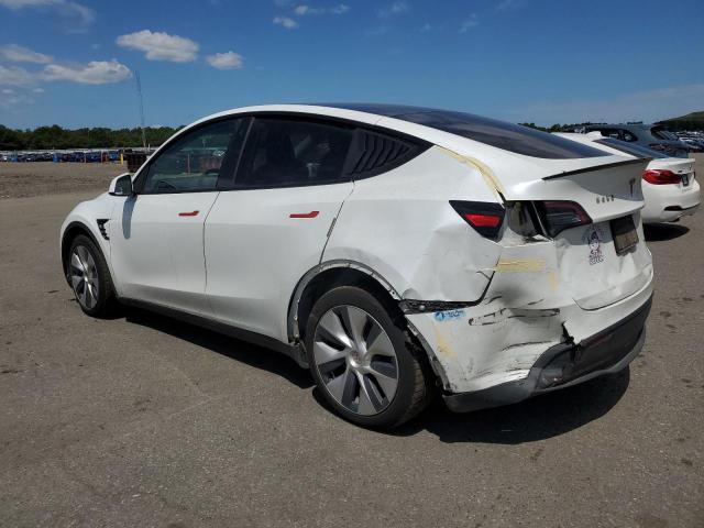 2021 TESLA MODEL Y 5YJYGDEE7MF065882