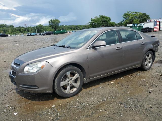 Vin: 1g1zc5e18bf341958, lot: 63311425, chevrolet malibu 1lt 2011 img_1