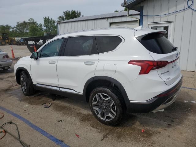 2023 HYUNDAI SANTA FE L - 5NMS4DAL4PH531189