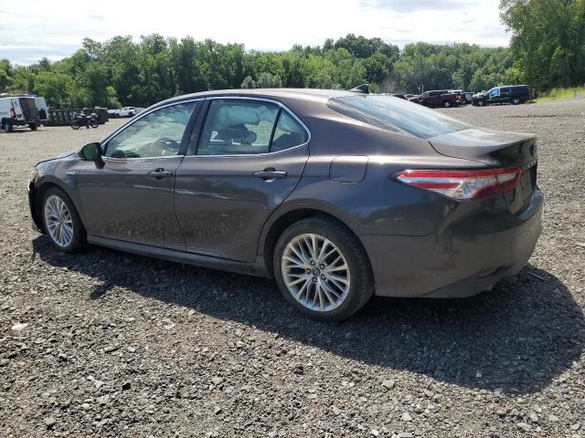 2019 TOYOTA CAMRY HYBR 4T1B21HK9KU512488