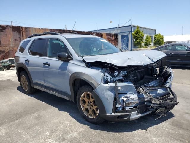 2024 HONDA PILOT TRAI 5FNYG1H61RB038185