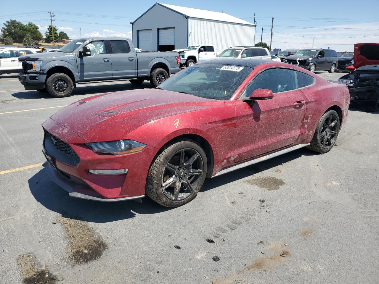 FORD MUSTANG