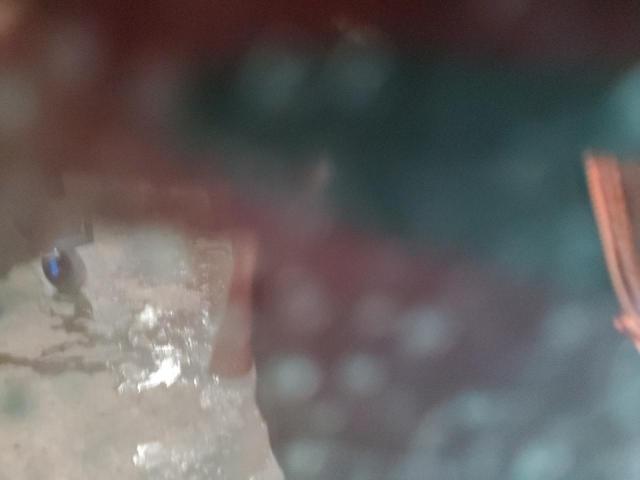 2021 HYUNDAI ELANTRA SE - KMHLS4AG0MU134060