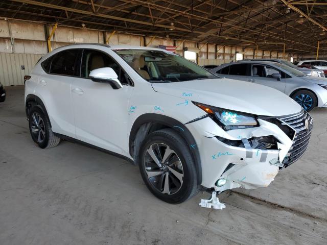 2021 LEXUS NX 300 BAS JTJGARBZ9M5026971