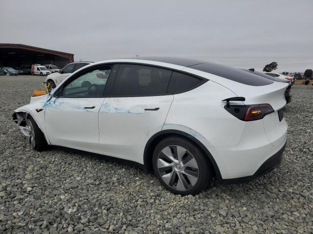 2023 TESLA MODEL Y 7SAYGDEE3PA112345