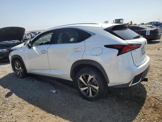 2020 LEXUS NX 300H JTJGJRDZ6L5009301
