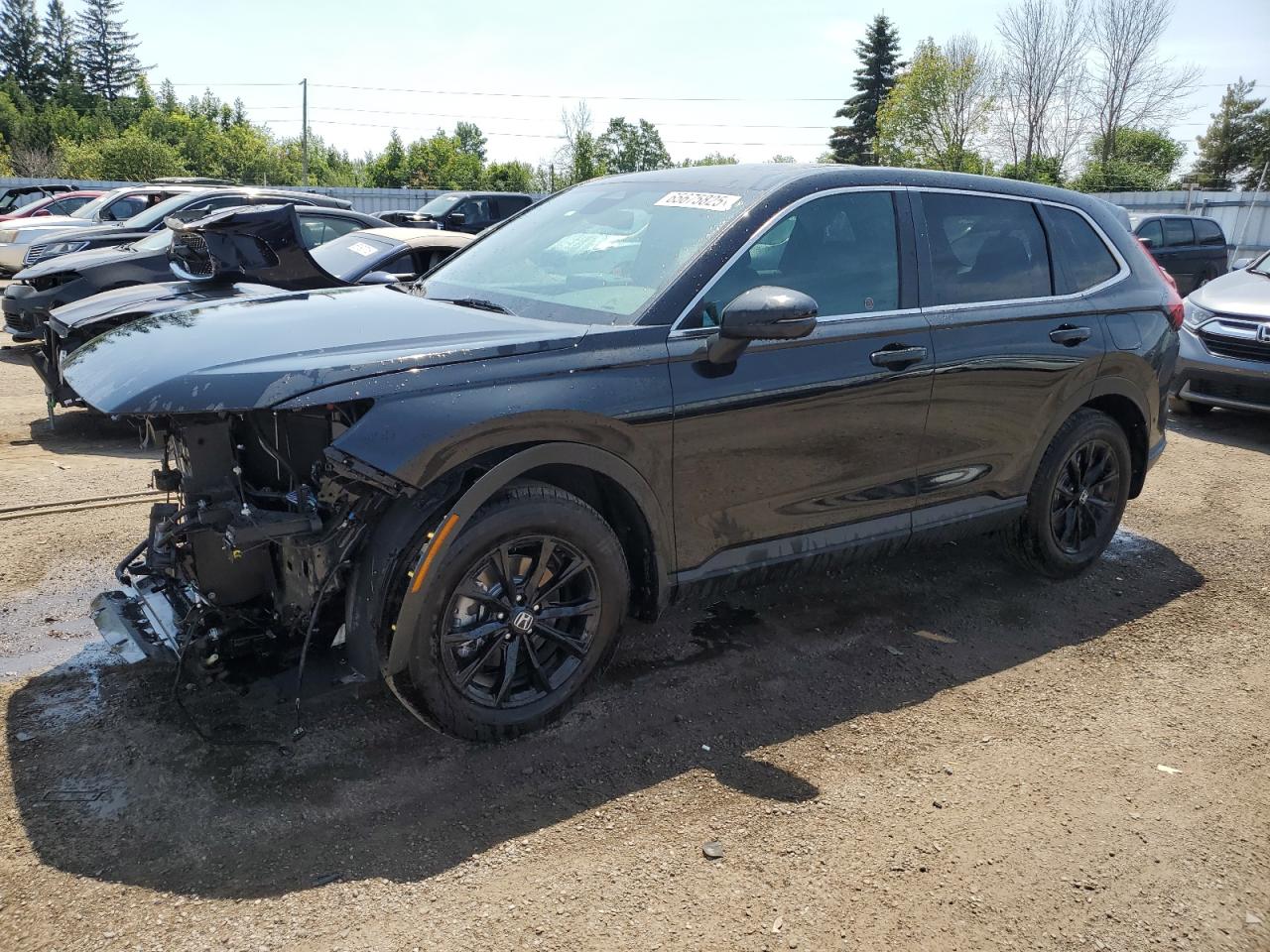 HONDA CR-V EXL