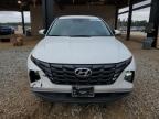 Lot #3296261421 2023 HYUNDAI TUCSON SEL