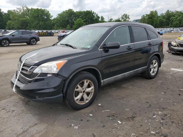 2010 HONDA CRV - 5J6RE4H53AL010709