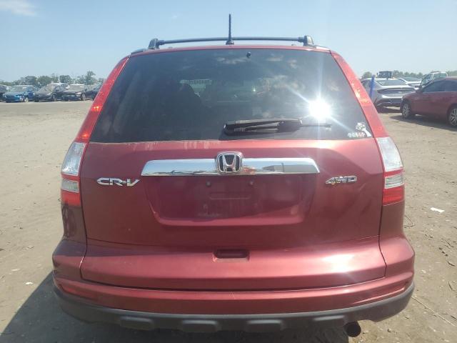 2010 HONDA CR-V EX - 5J6RE4H56AL004077