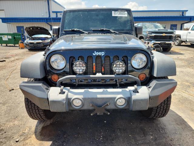 2010 JEEP WRANGLER U - 1J4HA3H1XAL227138