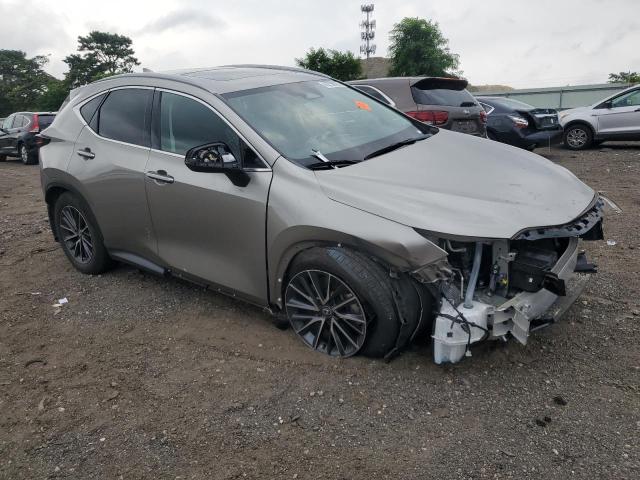 2025 LEXUS NX 250 BASE 2T2ADCEZ7SC005749