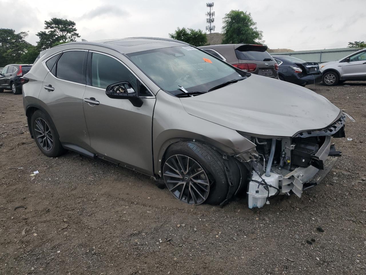 LEXUS NX 250 BASE