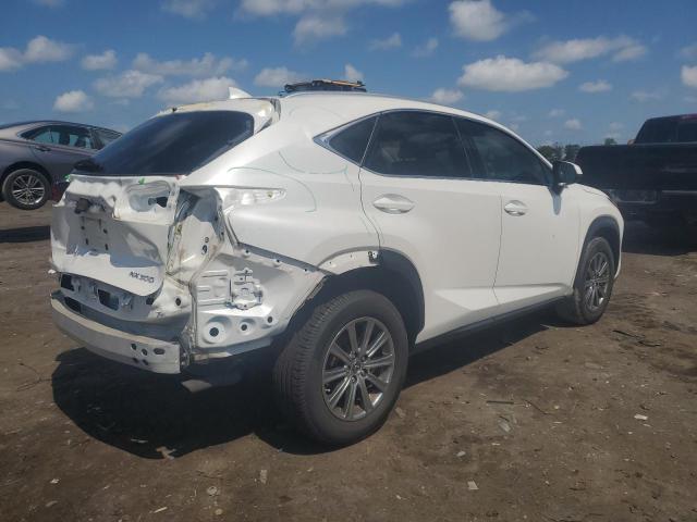 2019 LEXUS NX 300 BAS JTJYARBZ0K2133409