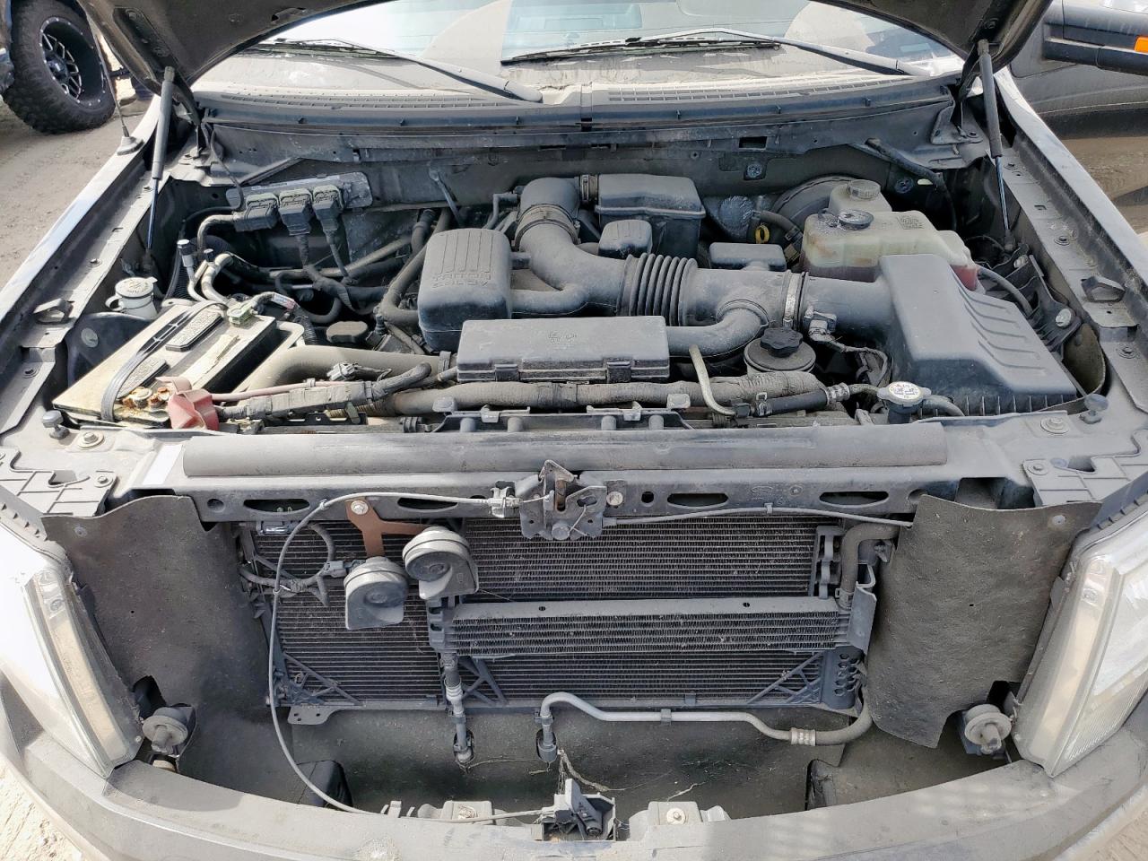 Lot #3308502071 2010 FORD F-150