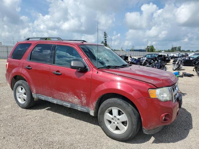 2011 FORD ESCAPE XLT - 1FMCU0D72BKC40548