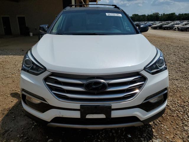 2017 HYUNDAI SANTA FE S - 5NMZUDLB8HH016149