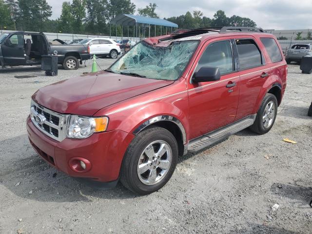 FORD ESCAPE XLT
