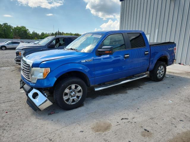 Vin: 1ftfw1evxafd40872, lot: 61464845, ford f-150 supercrew 2010 img_1