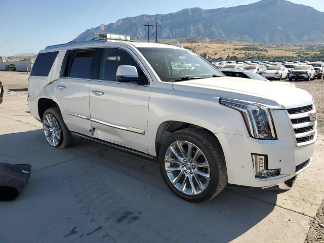 2019 CADILLAC ESCALADE P 1GYS4CKJ6KR177679